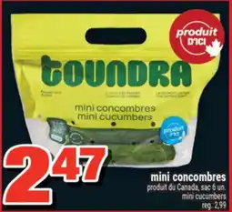 Super C mini concombres | mini cucumbers offer