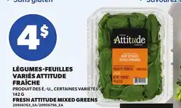 Provigo LÉGUMES-FEUILLES VARIÉS ATTITUDE FRAÎCHE | FRESH ATTITUDE MIXED GREENS offer