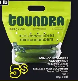 Marches Tradition SEEDLESS MINI CUCUMBERS offer
