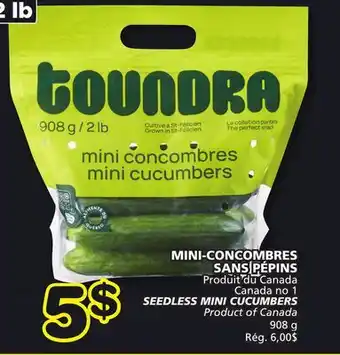 Marches Tradition SEEDLESS MINI CUCUMBERS offer