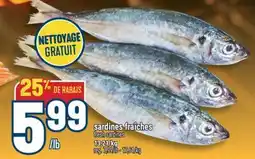 Marché Adonis SARDINES FRAÎCHES | FRESH SARDINES offer