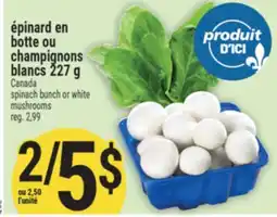 Marché Adonis ÉPINARD EN BOTTE OU CHAMPIGNONS BLANCS | SPINACH BUNCH OR WHITE mushrooms offer