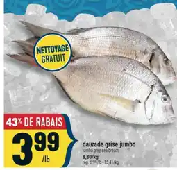 Marché Adonis DAURADE GRISE JUMBO | JUMBO GREY SEA BREAM offer