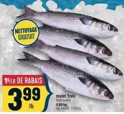 Marché Adonis MULET FRAIS | FRESH MULLETS offer