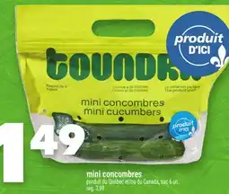 Marche Ami mini concombres offer