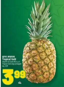Marché Richelieu GROS ANANAS TROPICAL GOLD | TROPICAL GOLD LARGE PINEAPPLE offer