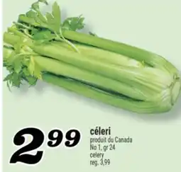 Marché Richelieu CÉLERI | CELERY offer