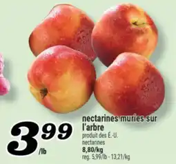 Marché Richelieu NECTARINES MURIES SUR L'ARBRE | NECTARINES offer