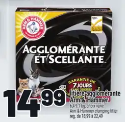 Metro LITIÈRE AGGLOMÉRANTE ARM & HAMMER | ARM & HAMMER CLUMPING LITTER offer