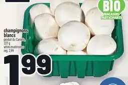 Metro CHAMPIGNONS BLANCS offer