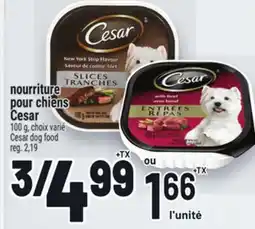 Metro NOURRITURE POUR CHIENS CESAR | CESAR DOG FOOD offer