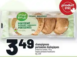 Metro CHAMPIGNONS PORTEENIES BIOLOGIQUES offer