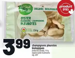 Metro CHAMPIGNONS PLEUROTES BIOLOGIQUES | ORGANIC OYSTER MUSHROOMS offer