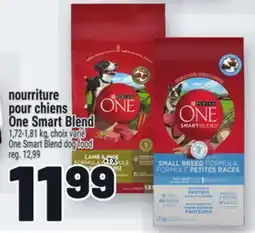 Metro NOURRITURE POUR CHIENS ONE SMART BLEND | ONE SMART BLEND DOG FOOD offer
