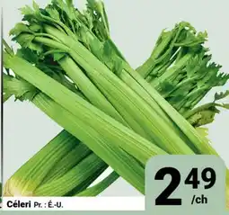 Pasquier Céleri offer