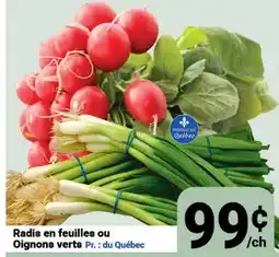 Pasquier Radis en feuilles ou Oignons verts offer