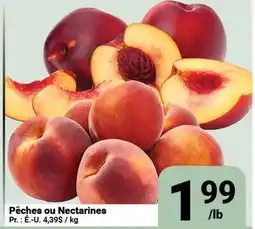 Pasquier Pêches ou Nectarines offer