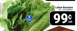 Pasquier Laitue Romaine offer