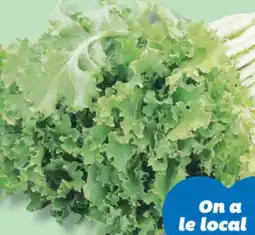 IGA ESCAROLE offer