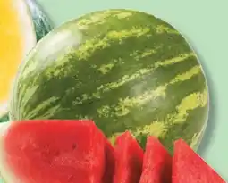 IGA SEEDLESS WATERMELON offer