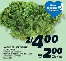 IGA RED OR GREEN LEAF LETTUCE offer