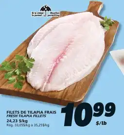IGA FRESH TILAPIA FILLETS offer