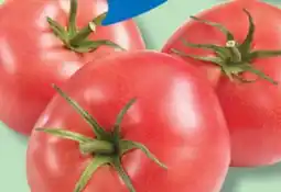 IGA GREENHOUSE PINK TOMATOES offer