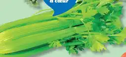 IGA CELERY offer
