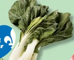IGA BOK CHOY offer