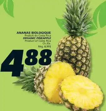 IGA ORGANIC PINEAPPLE offer