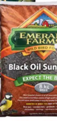 Princess Auto Bird Seed Black Oil Sunflower offer