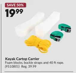 Princess Auto Kayak Cartop Carrier offer
