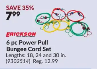 Princess Auto 6 pc Power Pull Bungee Cord Set offer