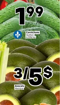 Val-Mont Avocats Mexique, Cornichons offer