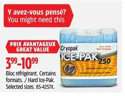 Canadian Tire Hard Ice-Pak offer