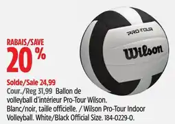 Canadian Tire Wilson Pro-Tour Indoor Volleyball offer