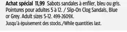 Canadian Tire Slip-On Clog Sandals, Blue or Grey offer