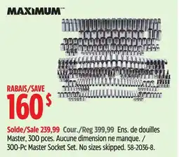 Canadian Tire 300-Pc Master Socket Set. No sizes skipped offer