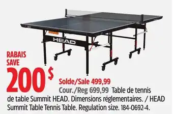 Canadian Tire HEAD Summit Table Tennis Table offer