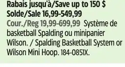 Canadian Tire Spalding Basketball System or Wilson Mini Hoop offer