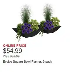 Costco Evolve Square Bowl Planter, 2-pack offer
