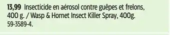 Canadian Tire Raid Wasp & Hornet Insect Killer Spray offer