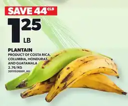 Loblaws PLANTAIN offer