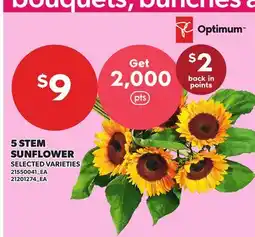 Loblaws 5 STEM SUNFLOWER offer