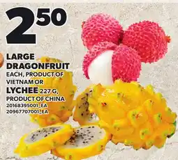 Loblaws LARGE DRAGONFRUIT EACH, OR LYCHEE 227 G offer