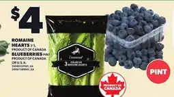 Loblaws ROMAINE HEARTS, 3'S OR BLUEBERRIES, PINT offer
