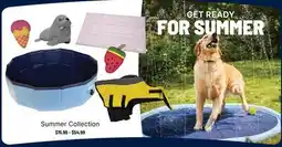 Ren’s Pets Depot Summer Collection offer