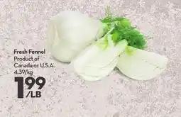 Longo's Fresh Fennel offer