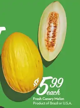Longo's Fresh Canary Melon offer
