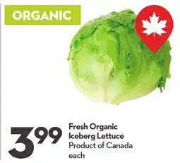 Longo's Fresh Organic Iceberg Lettuce offer